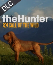 theHunter Call of the Wild Bloodhound