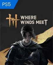 Where Winds Meet PS5