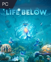 Life Below