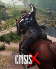 CrisisX