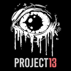 PROJECT 13