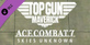 ACE COMBAT 7 SKIES UNKNOWN TOP GUN Maverick Aircraft Set Nintendo Switch