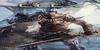 Elex Xbox Series X