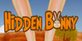 Hidden Bunny PS5