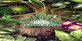 House Flipper Garden Xbox One