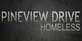 Pineview Drive Homeless